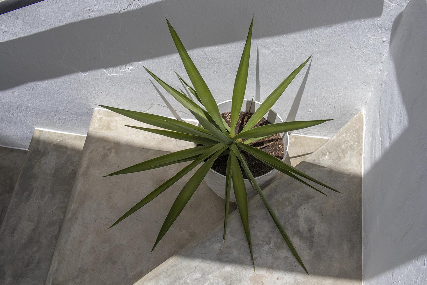 Casa Jardin Competa Bed & Breakfast エクステリア 写真